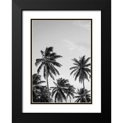 Palms in Grey Black Modern Wood Framed Art Print with Double Matting by Design Fabrikken