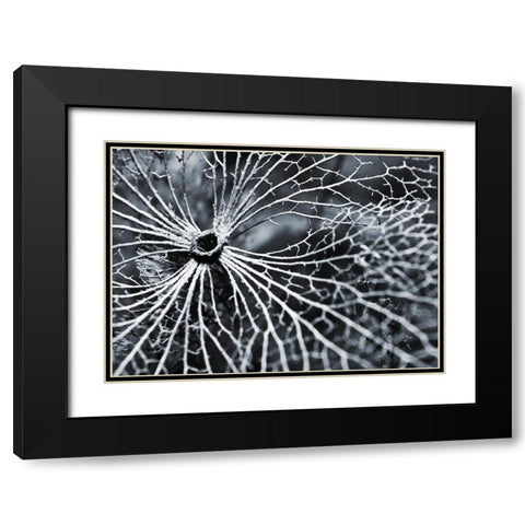 Winterspell Black Modern Wood Framed Art Print with Double Matting by Design Fabrikken