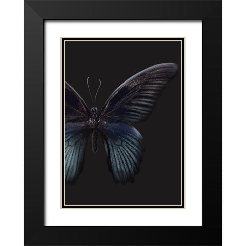 Black Butterfly on Grey Black Modern Wood Framed Art Print with Double Matting by Design Fabrikken