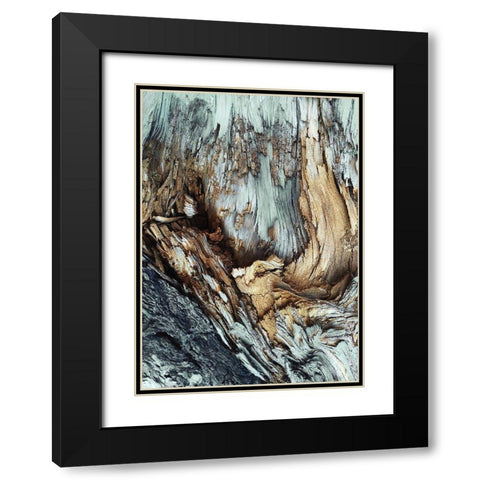 Wooden Black Modern Wood Framed Art Print with Double Matting by Design Fabrikken
