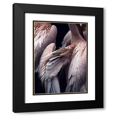 Flamboyance 1 Black Modern Wood Framed Art Print with Double Matting by Design Fabrikken