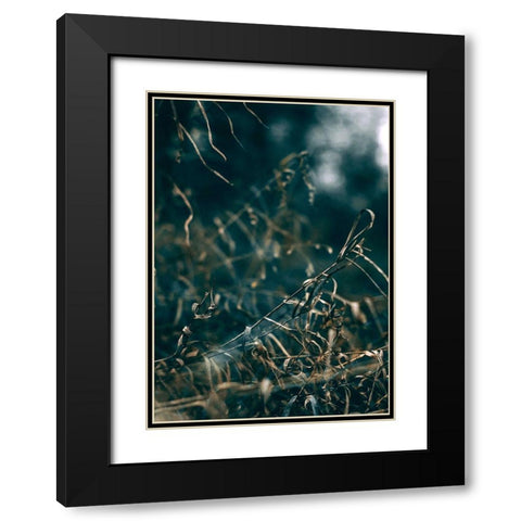 Secret 1 Black Modern Wood Framed Art Print with Double Matting by Design Fabrikken