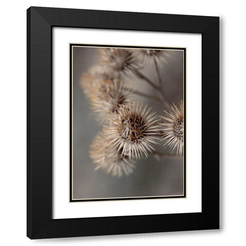 Avantgarde Black Modern Wood Framed Art Print with Double Matting by Design Fabrikken