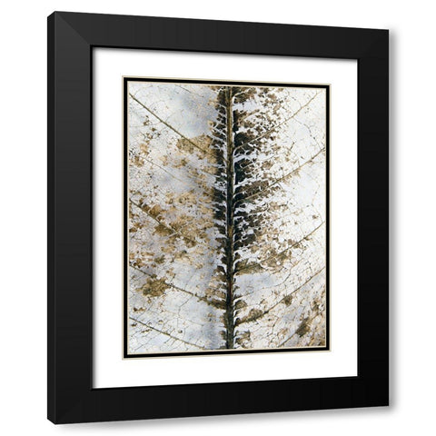 Close Up Black Modern Wood Framed Art Print with Double Matting by Design Fabrikken