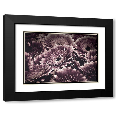 Opulent 4 Black Modern Wood Framed Art Print with Double Matting by Design Fabrikken