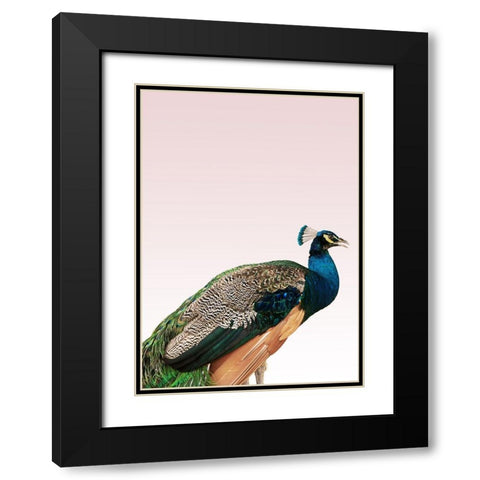 Peacock on Pink Black Modern Wood Framed Art Print with Double Matting by Design Fabrikken