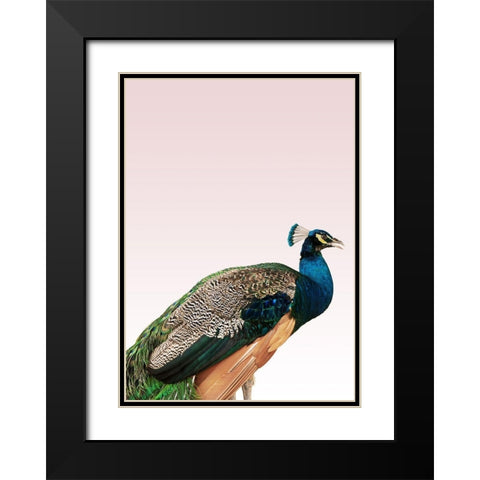 Peacock on Pink Black Modern Wood Framed Art Print with Double Matting by Design Fabrikken
