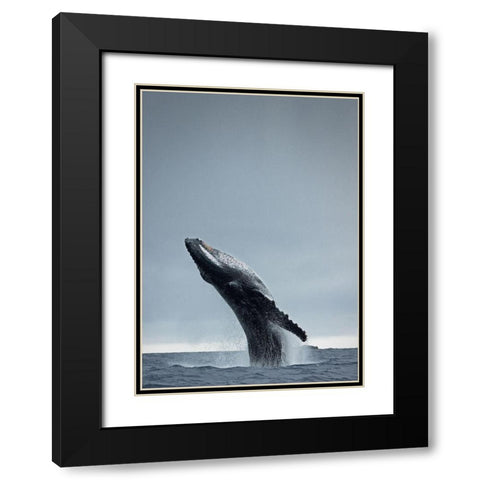 40 Ton Black Modern Wood Framed Art Print with Double Matting by Design Fabrikken