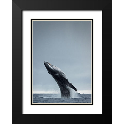 40 Ton Black Modern Wood Framed Art Print with Double Matting by Design Fabrikken