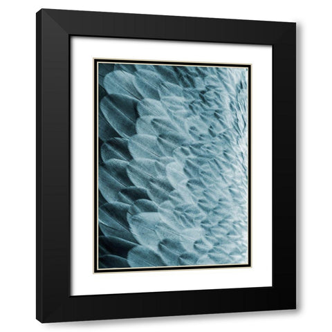 Volture I Black Modern Wood Framed Art Print with Double Matting by Design Fabrikken