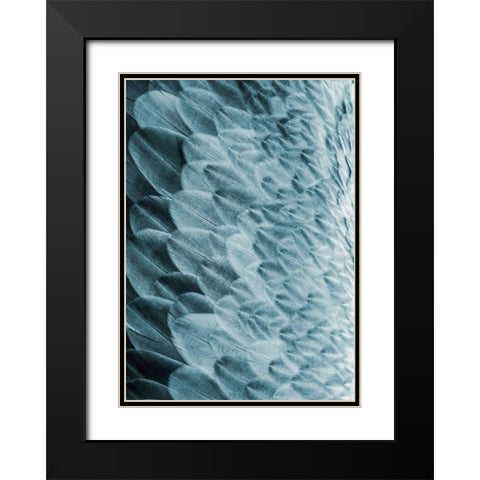 Volture I Black Modern Wood Framed Art Print with Double Matting by Design Fabrikken