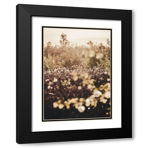 Golden Field Black Modern Wood Framed Art Print with Double Matting by Design Fabrikken