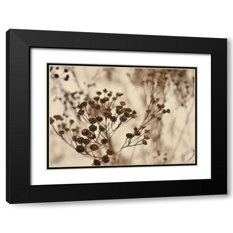 Secret 3 Black Modern Wood Framed Art Print with Double Matting by Design Fabrikken