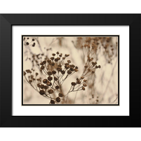 Secret 3 Black Modern Wood Framed Art Print with Double Matting by Design Fabrikken