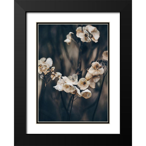 Secret 4 Black Modern Wood Framed Art Print with Double Matting by Design Fabrikken