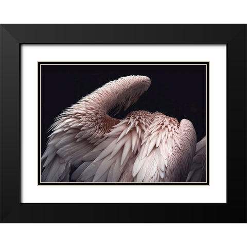 Flamboyance 2 Black Modern Wood Framed Art Print with Double Matting by Design Fabrikken