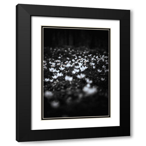Windflowers Black Modern Wood Framed Art Print with Double Matting by Design Fabrikken