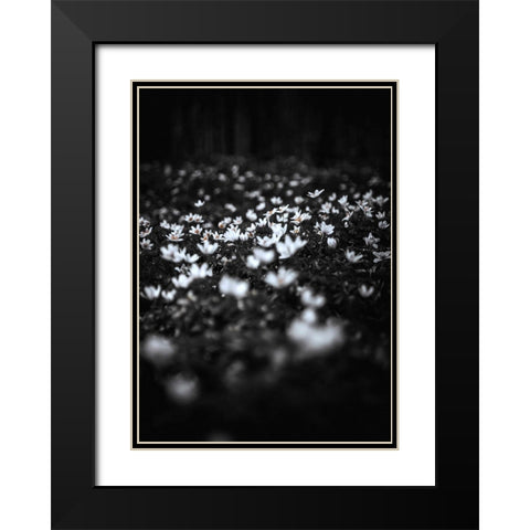 Windflowers Black Modern Wood Framed Art Print with Double Matting by Design Fabrikken