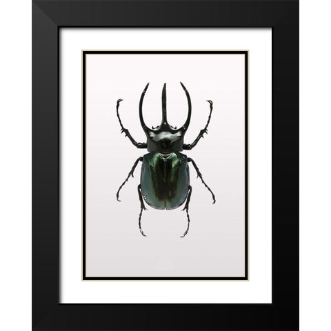 Beetle 2 Black Modern Wood Framed Art Print with Double Matting by Design Fabrikken