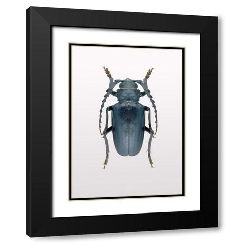 Beetle 3 Black Modern Wood Framed Art Print with Double Matting by Design Fabrikken