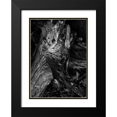 Black Wood Black Modern Wood Framed Art Print with Double Matting by Design Fabrikken