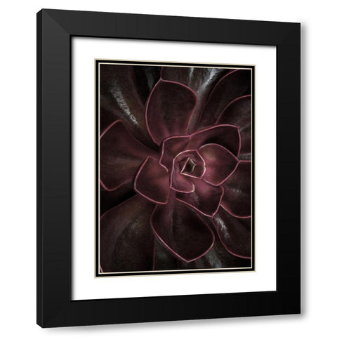 Secret 16 Black Modern Wood Framed Art Print with Double Matting by Design Fabrikken