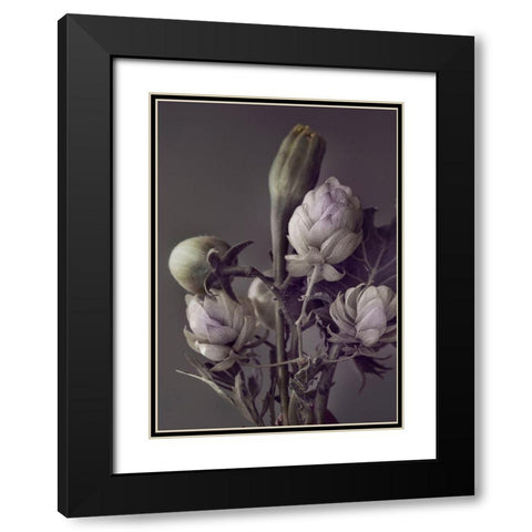 Secret 13 Black Modern Wood Framed Art Print with Double Matting by Design Fabrikken
