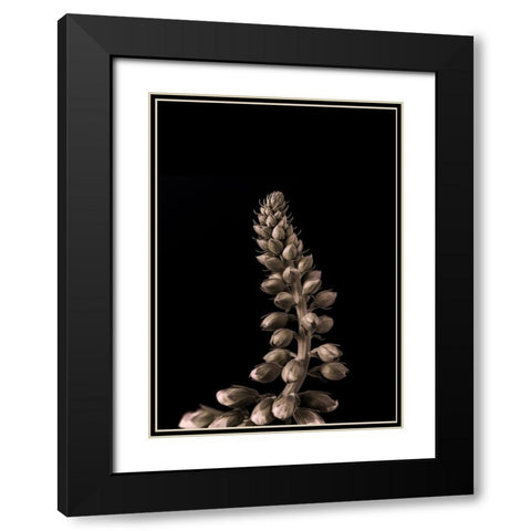 Upwards 2 Black Modern Wood Framed Art Print with Double Matting by Design Fabrikken