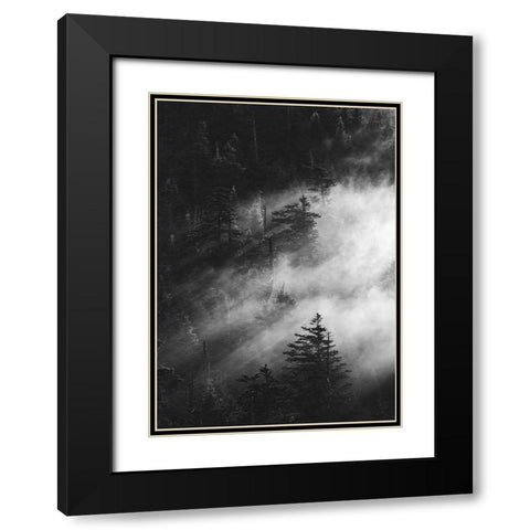 Misty Pine Woods Black Modern Wood Framed Art Print with Double Matting by Design Fabrikken