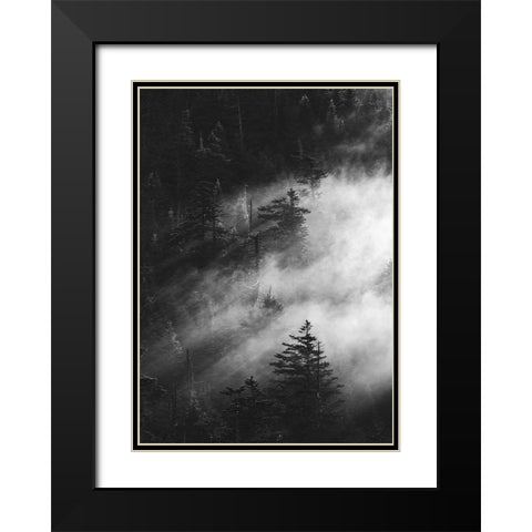Misty Pine Woods Black Modern Wood Framed Art Print with Double Matting by Design Fabrikken