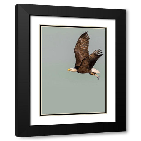 In the Sky 3 Black Modern Wood Framed Art Print with Double Matting by Design Fabrikken