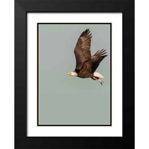 In the Sky 3 Black Modern Wood Framed Art Print with Double Matting by Design Fabrikken
