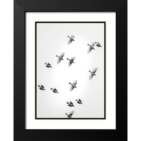 In the Sky 1 Black Modern Wood Framed Art Print with Double Matting by Design Fabrikken