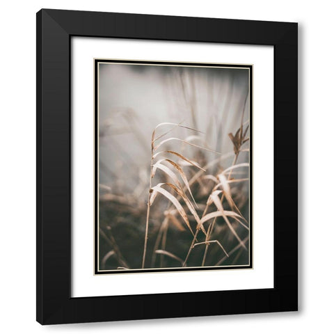 Reed 2 Black Modern Wood Framed Art Print with Double Matting by Design Fabrikken