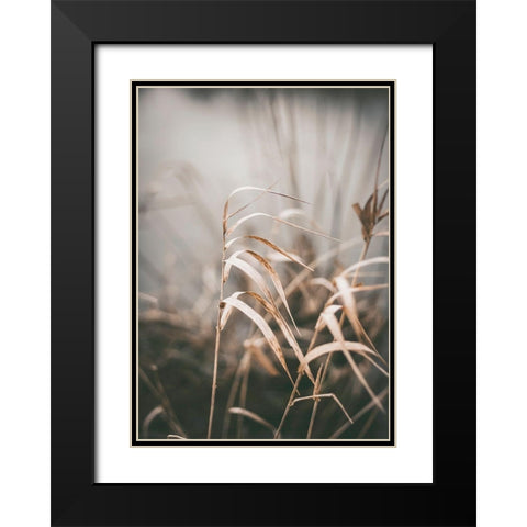Reed 2 Black Modern Wood Framed Art Print with Double Matting by Design Fabrikken