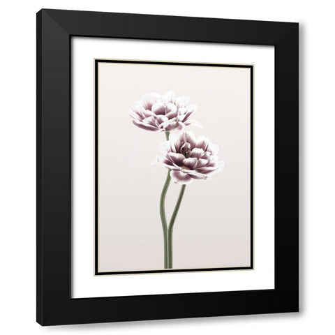 Cosmos 1 Black Modern Wood Framed Art Print with Double Matting by Design Fabrikken