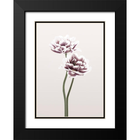 Cosmos 1 Black Modern Wood Framed Art Print with Double Matting by Design Fabrikken