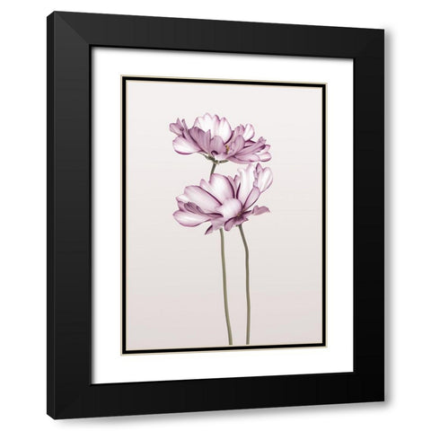 Cosmos 2 Black Modern Wood Framed Art Print with Double Matting by Design Fabrikken