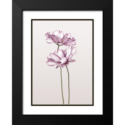 Cosmos 2 Black Modern Wood Framed Art Print with Double Matting by Design Fabrikken