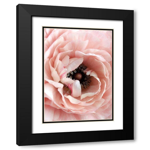 Flower Black Modern Wood Framed Art Print with Double Matting by Design Fabrikken