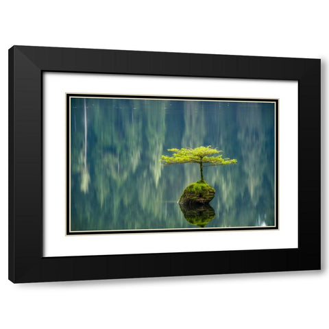 Fairy Lake Bonsai Black Modern Wood Framed Art Print with Double Matting by Oldford, Tim