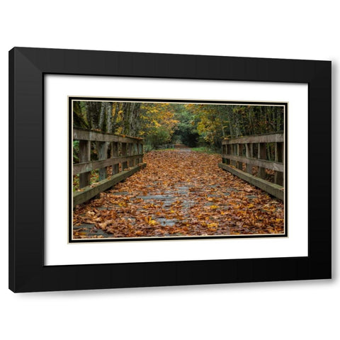 Fall on the Goose (Victoria) Black Modern Wood Framed Art Print with Double Matting by Oldford, Tim