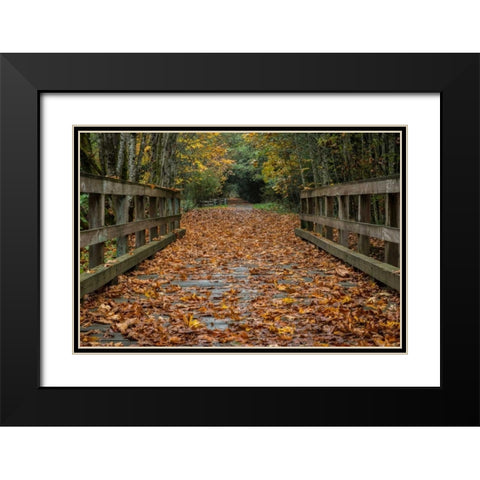 Fall on the Goose (Victoria) Black Modern Wood Framed Art Print with Double Matting by Oldford, Tim