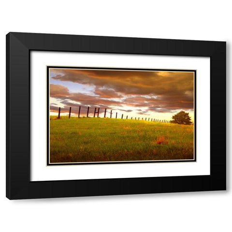 Fenceline, South Dakota Black Modern Wood Framed Art Print with Double Matting by ODell, Dale