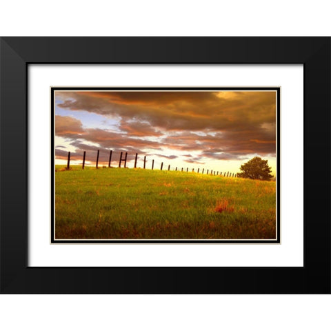 Fenceline, South Dakota Black Modern Wood Framed Art Print with Double Matting by ODell, Dale