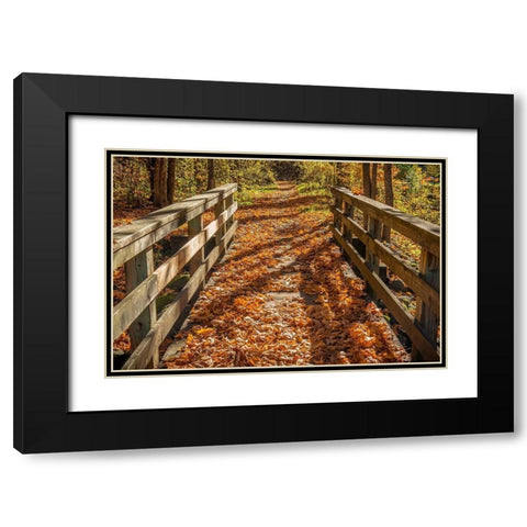 Fall On The Footbridge Black Modern Wood Framed Art Print with Double Matting by Oldford, Tim