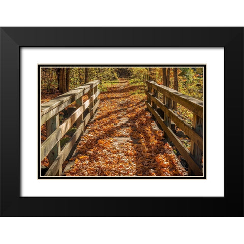 Fall On The Footbridge Black Modern Wood Framed Art Print with Double Matting by Oldford, Tim
