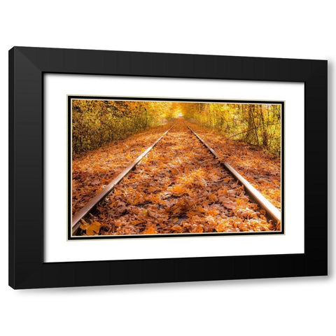 Train Tracks in The Fall Black Modern Wood Framed Art Print with Double Matting by Oldford, Tim