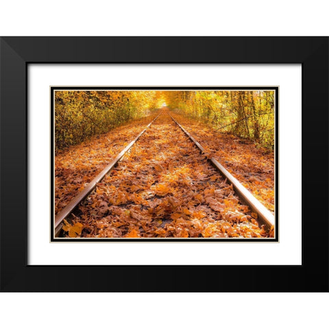 Train Tracks in The Fall Black Modern Wood Framed Art Print with Double Matting by Oldford, Tim