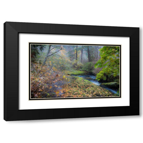 Snow in Fall Black Modern Wood Framed Art Print with Double Matting by Oldford, Tim
